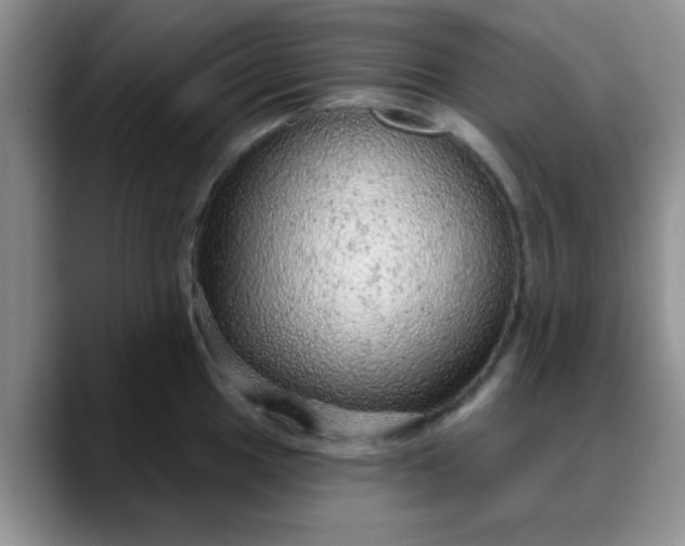 X0000088181049200705291948