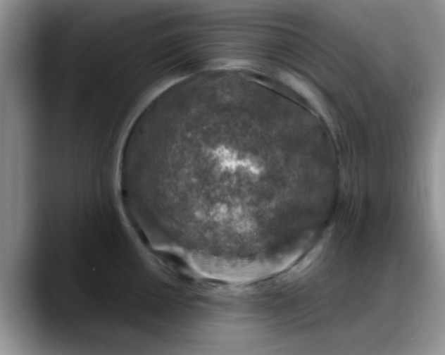 X0000088181050200705291948