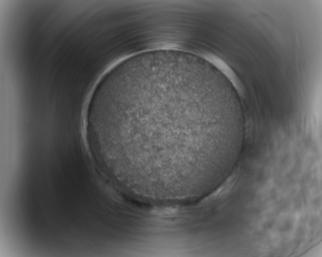 X0000088181051200705291948