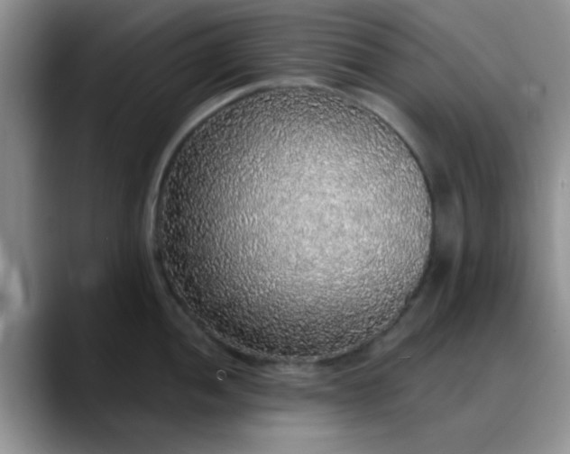 X0000088181052200705291948