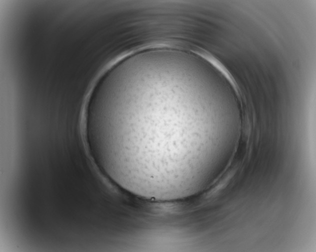 X0000088181053200705291948