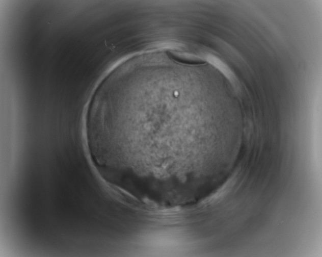 X0000088181055200705291948