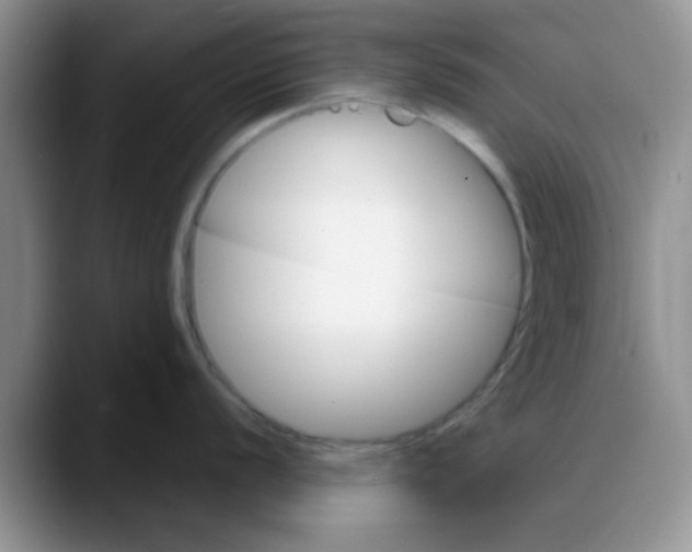 X0000088181056200705291948