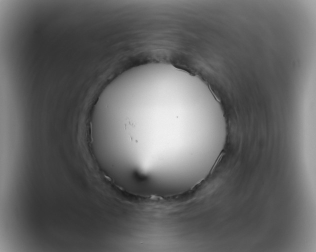 X0000088181057200705291947