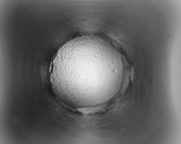 X0000088181059200705291947