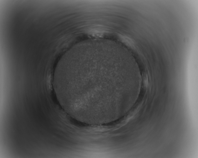 X0000088181060200705291947