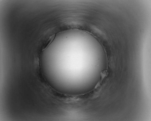 X0000088181061200705291947