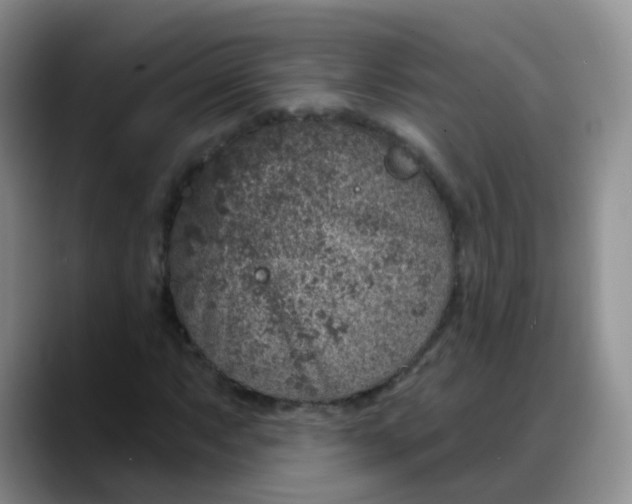 X0000088181063200705291947