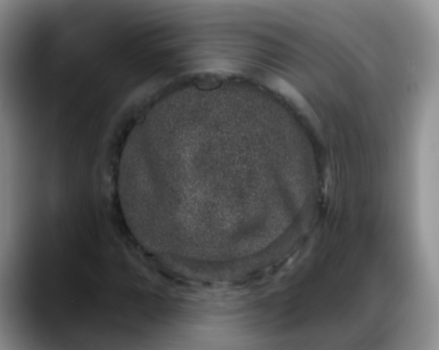 X0000088181064200705291947