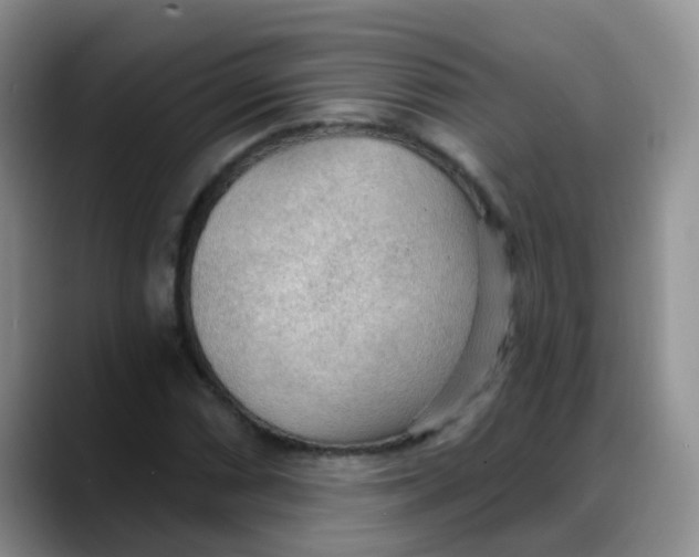 X0000088181066200705291947