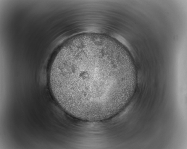 X0000088181067200705291947