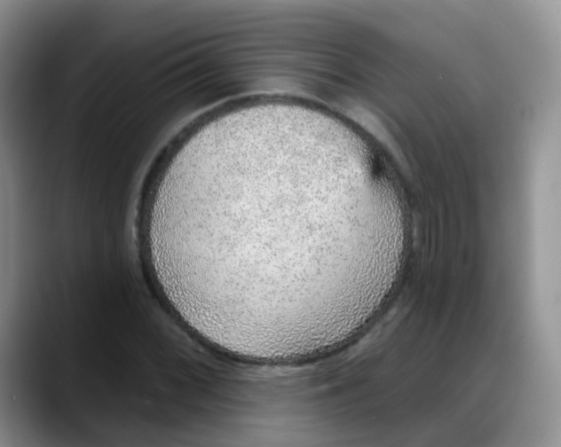 X0000088181068200705291947