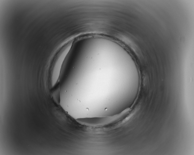 X0000088181069200705291947