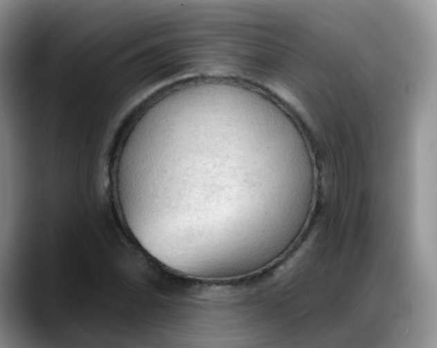 X0000088181070200705291947