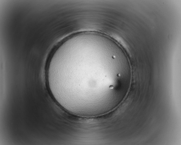 X0000088181072200705291947