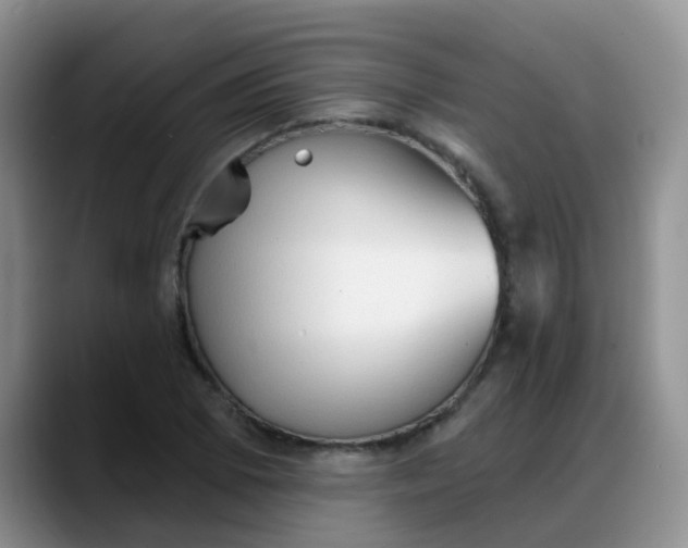 X0000088181073200705291947