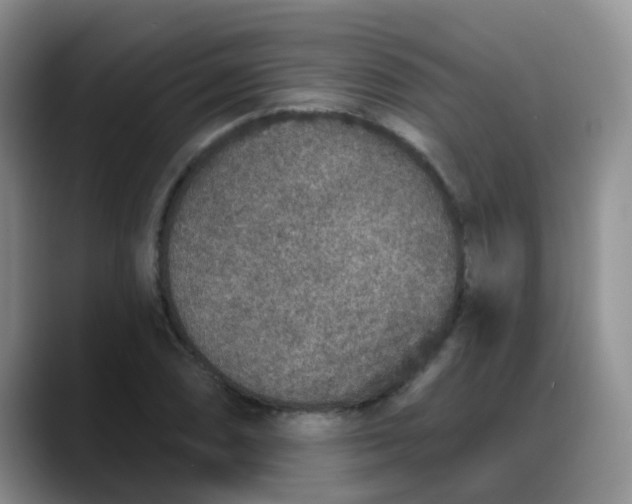 X0000088181074200705291947