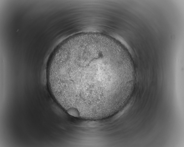 X0000088181075200705291947