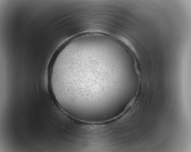 X0000088181076200705291947