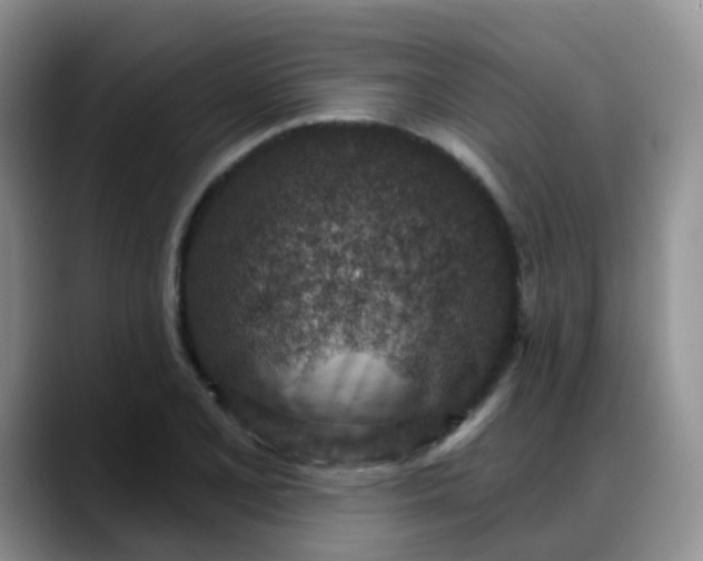 X0000088181077200705291947