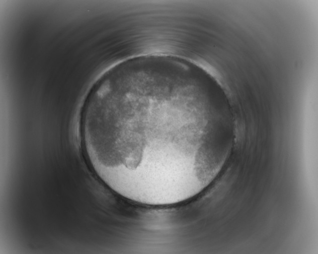 X0000088181078200705291947