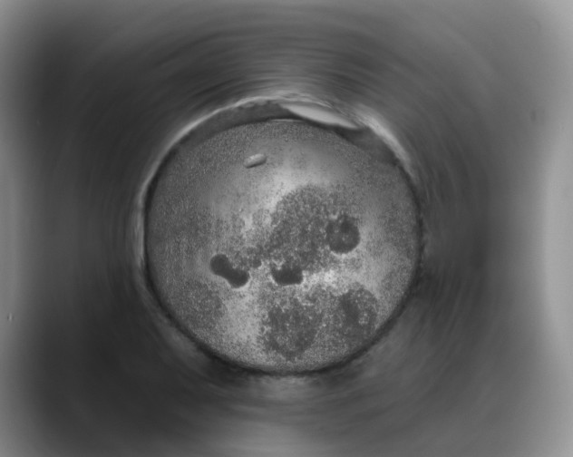 X0000088181079200705291947