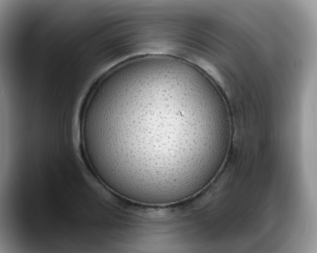 X0000088181080200705291947