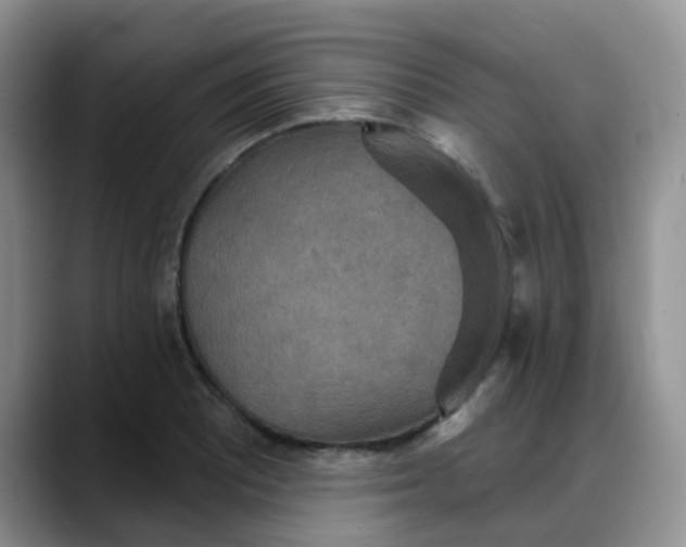 X0000088181081200705291947