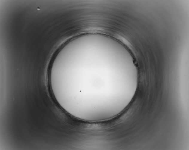 X0000088181082200705291947