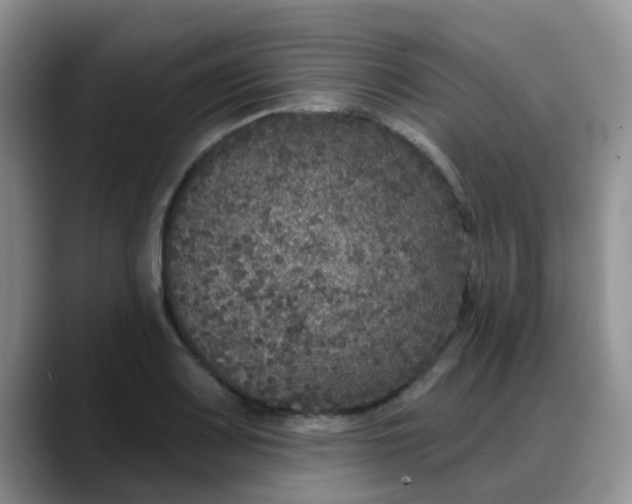 X0000088181083200705291947