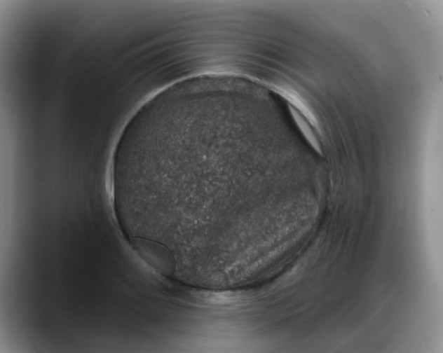 X0000088181084200705291947