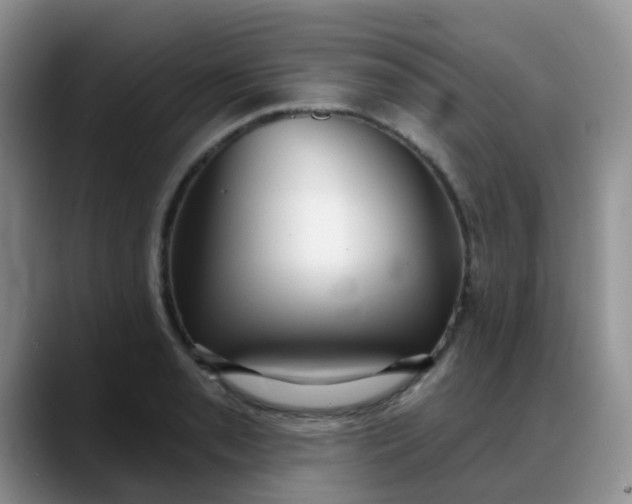 X0000088181085200705291947