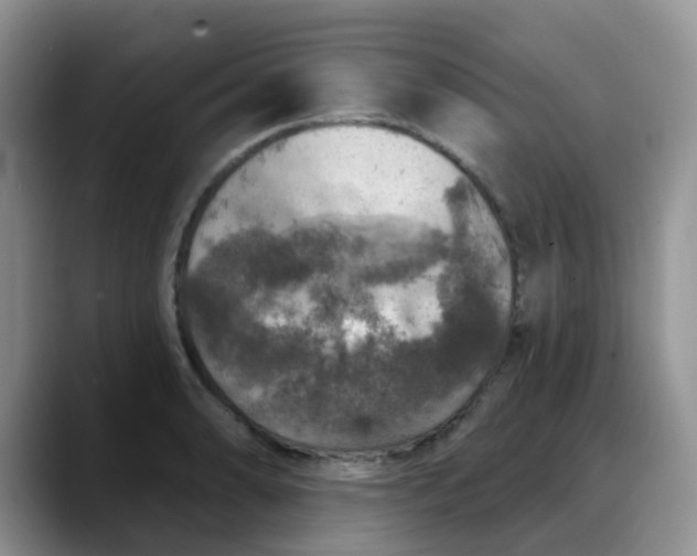 X0000088181086200705291947