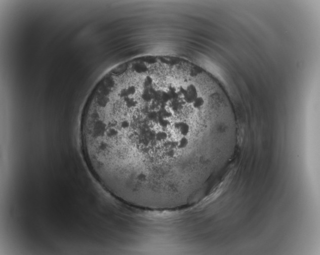 X0000088181087200705291947