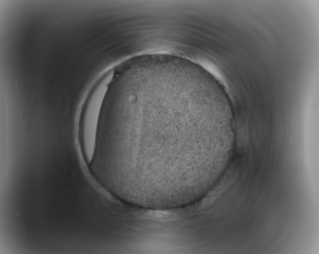 X0000088181088200705291947