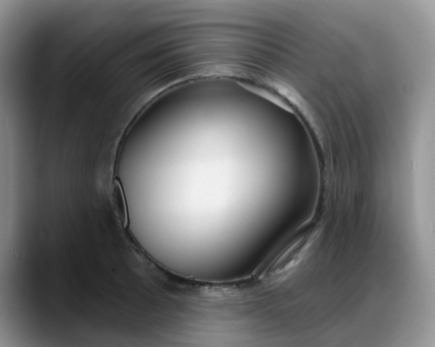 X0000088181089200705291947