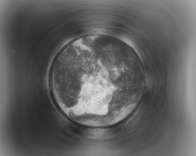 X0000088181090200705291947