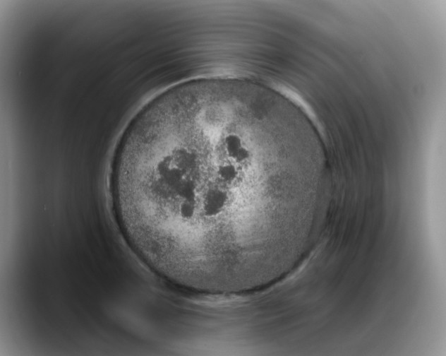 X0000088181091200705291947