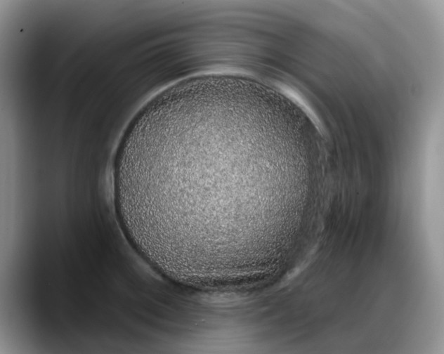 X0000088181092200705291947