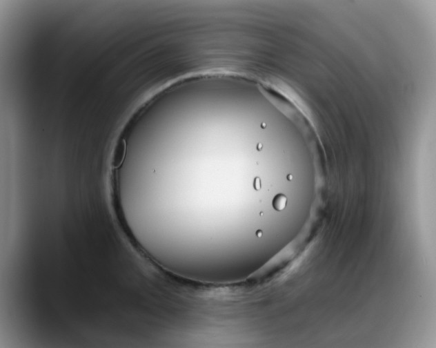 X0000088181093200705291947