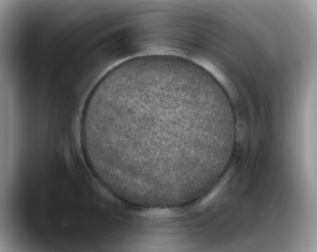 X0000088181094200705291947