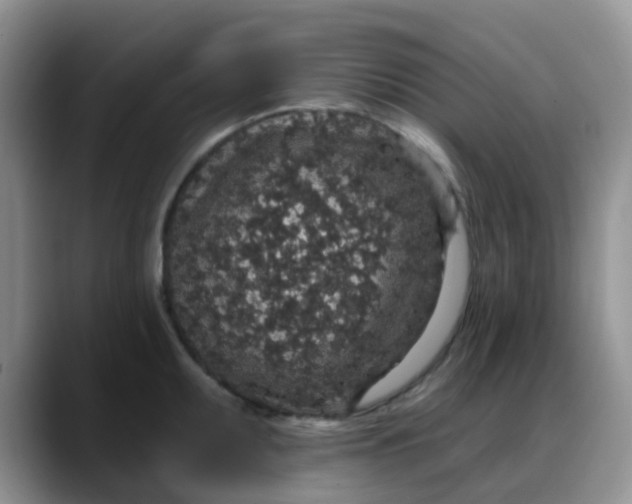 X0000088181095200705291947