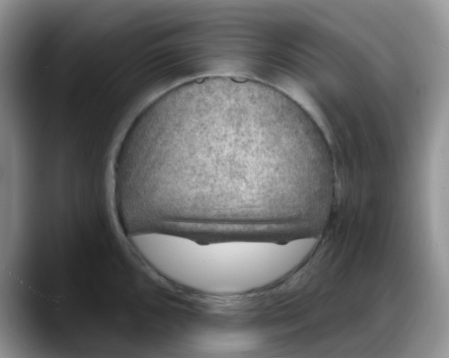 X0000088181096200705291947