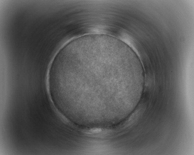 X0000088181098200705291947