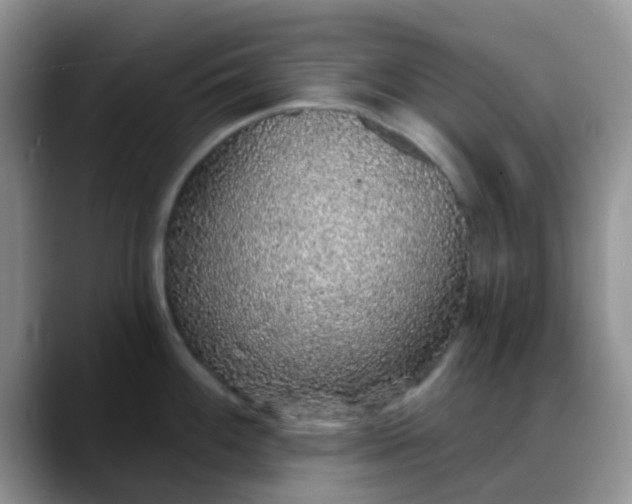 X0000088181100200705291947