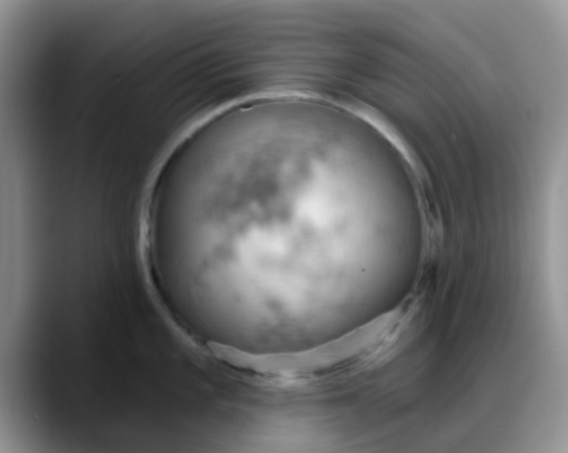 X0000088181101200705291947