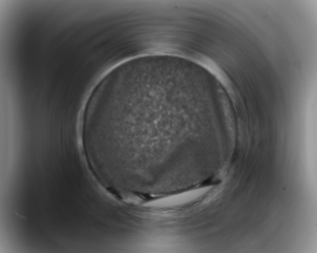 X0000088181102200705291947