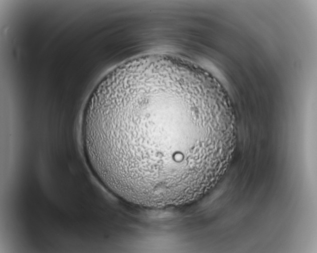 X0000088181103200705291947