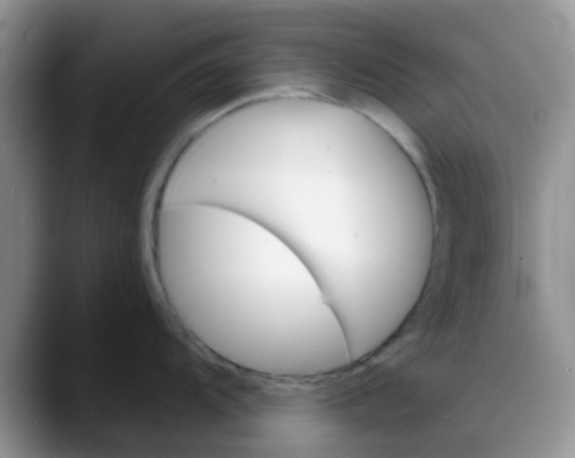 X0000088181104200705291947