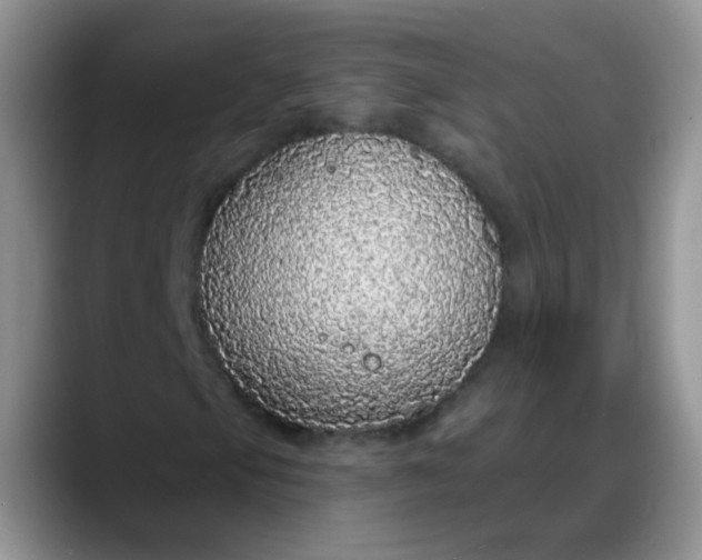 X0000088181105200705291946